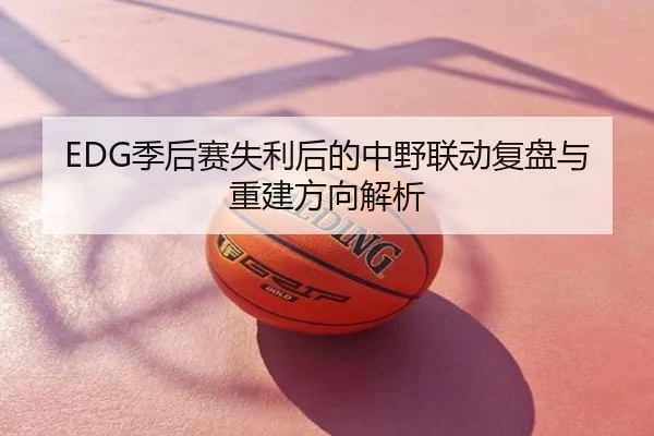 EDG季后赛失利后的中野联动复盘与重建方向解析