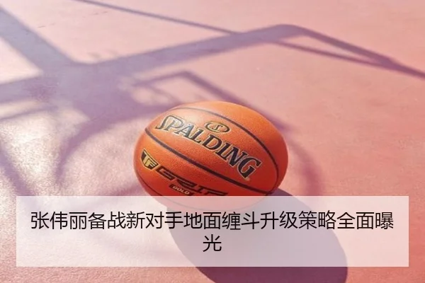 张伟丽备战新对手地面缠斗升级策略全面曝光